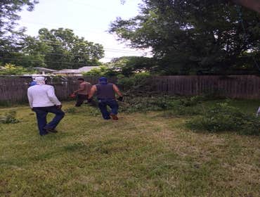 Photos from South Texas Tree of Life Tree S.Tx Tree of Life Tree Service