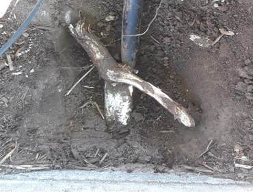 Photos by Summer Sprinklers & Repair #1