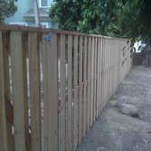 Wood