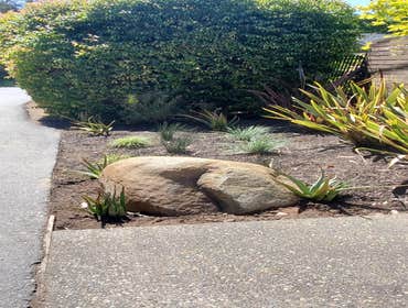 Photos by Tuyub Landscaping #9
