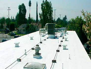 Roof & Deck