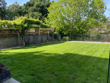 Photos by Matias Landscaping #8