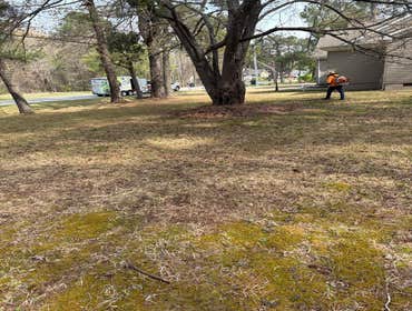 Photos by Beauty Meister Landscaping LLC #2