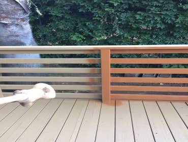 Photos from Frank Rascon Painting