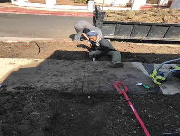 Sprinkler System and sod replacement @2020