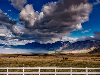 Fences