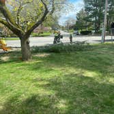 Stewart Tree Service