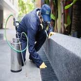 Photos by Pest Control Pros #1