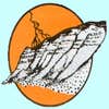 Rock Hill Electric logo