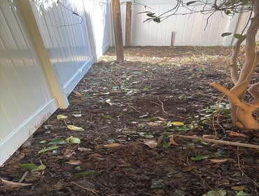 Photos by Beauty Meister Landscaping LLC #2