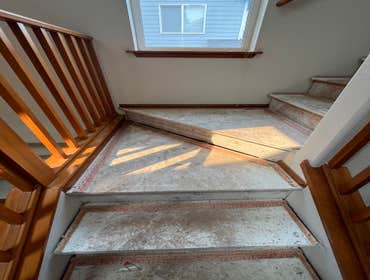 Photos by Gus's Premium Carpets Inc #1