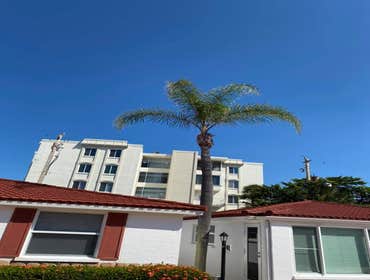 Photos by Arbobella Tree Service #1