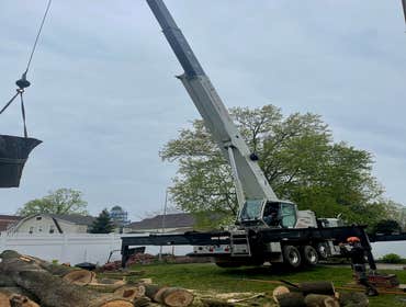 Photos by I&z Landscaping Corp #6