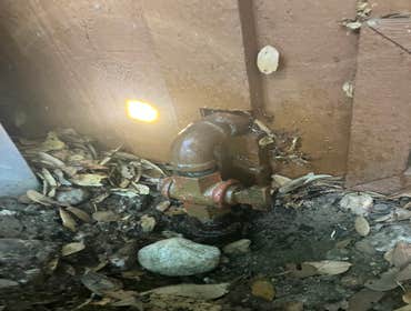 Photos by Pink Plunger plumbing & Rooter LLC #1