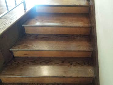 PREMIER HARDWOOD RESTORATIONS vs. PET STAINS Red oak hardwood damaged by pets stains. Job to be sand and finished with a dark walnut stain to hide/camo