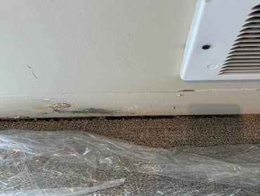 Water Mitigation This project was a roof leak the photos show initial inspection to post demo.