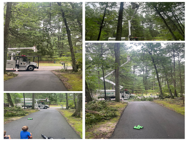 Photos by Yandi's Tree Service #23