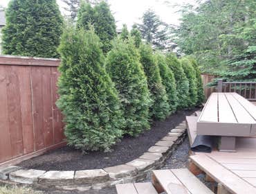 Photos by Verano Landscaping #1