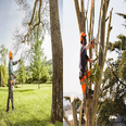 Photos by Eh Landscaping & Masory LLC #1
