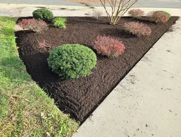Photos by Landscaping Valora Inc #1
