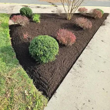 Photos by Landscaping Valora Inc #1