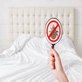 Photos by Insurance Capital Termite Removal Experts #1