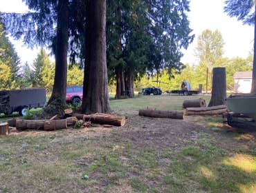 Photos by Sturdy Tree Solutions LLC #1