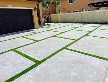Photos by Abq Turf #1