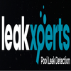 Leakxperts Pool Leak Detection logo