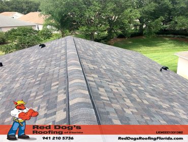 Photos by Red dog's Roofing of Florida #1