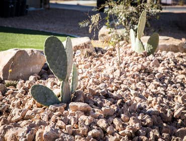Photos from South Valley Landscape, LLC