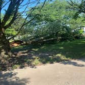 Clean Green Tree Service