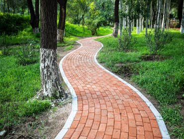Photos by Maltese Contracting Water Proofing and Landscaping #1