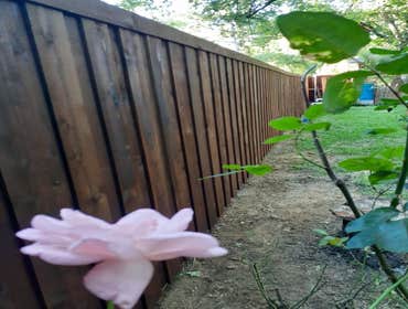 Fences