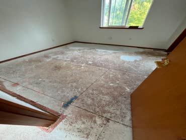 Photos by Gus's Premium Carpets Inc #1