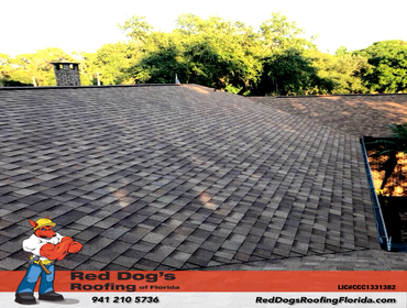 Photos by Red dog's Roofing of Florida #1