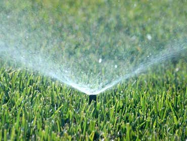 Photos from Lawn Management Sprinkler Co
