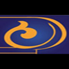 Tara Imani Designs, LLC logo