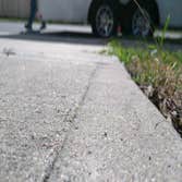 Monroe Concrete Repair and Leveling