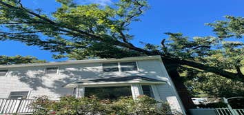 Tree removal over house