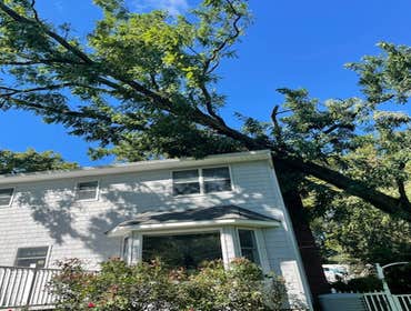 Tree removal over house