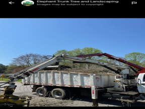 Photos by Elephant Trunk Tree and Landscaping #1