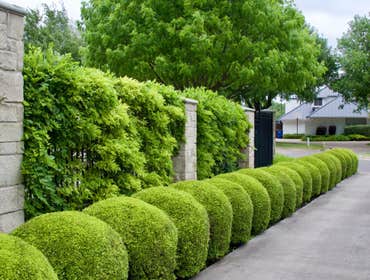 Photos by High Quality Landscape Services #1