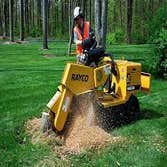 Best Tree Service Summerville