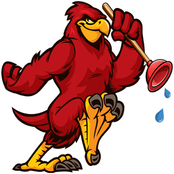 Cardinal plumbing & Drain Services
