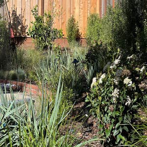 Photos by Bloom & Lawn Landscape Inc #1