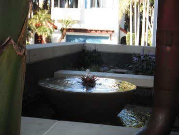 Custom Design and Build water feature specialist. Pond~ology is a full service water feature design and build firm located in North county San Diego. 