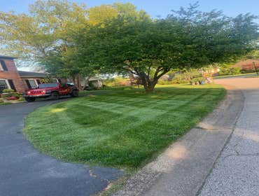 Photos by Prestige Lawn Care LLC #1