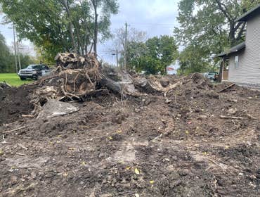 Lot clearing