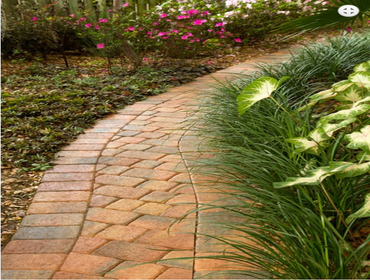 Photos from Pro Pavers Corp